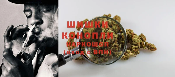 дмт Каменногорск