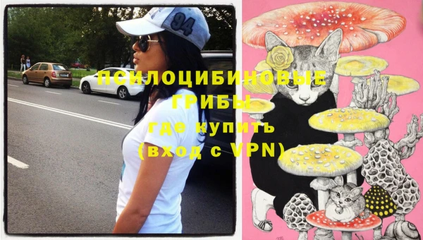 крисы Армянск